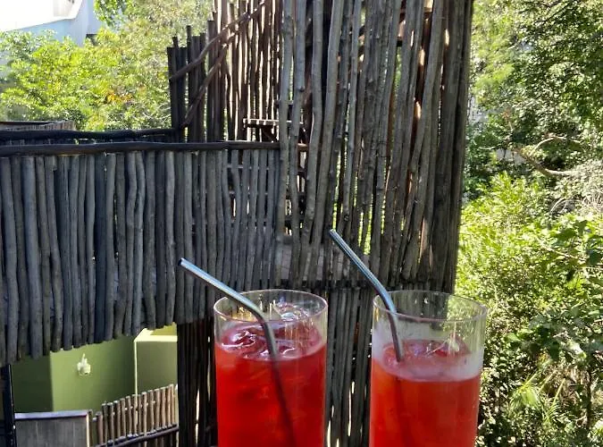 Acomodação com café da manhã  Loba Male Only Tulum